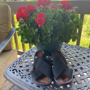 BZees Black Sandals